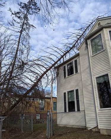 two story house with fallen tree leaning against house roof
